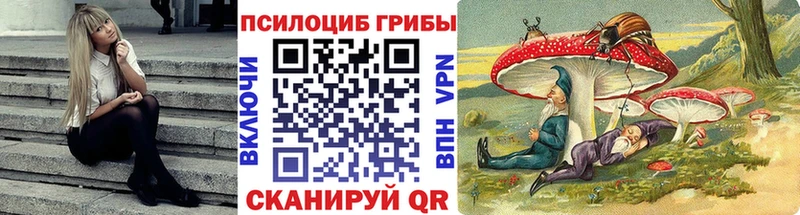 mega   Мезень  Галлюциногенные грибы Psilocybe  наркошоп 